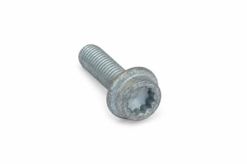 Originele poly-inbusflensbout (M10X32)