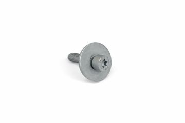 Originele inbus- bout (combi) (M6X25)