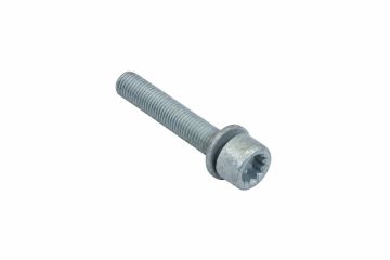Originele inbusbout met poly-inbuskop (M12X1,5X70)