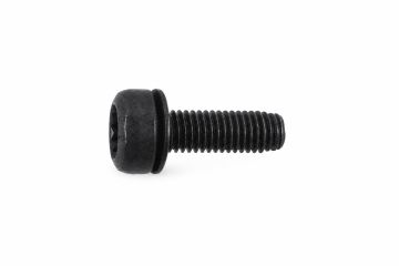 Originele poly-inbusbout (combi) (M8X25)
