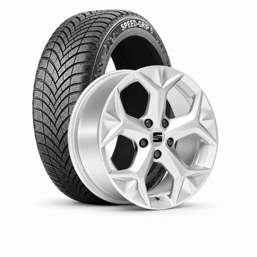 Originele winterset - zilver