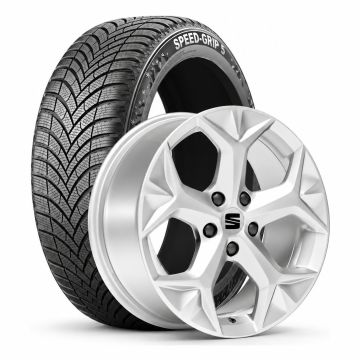 Originele winterset - zilver