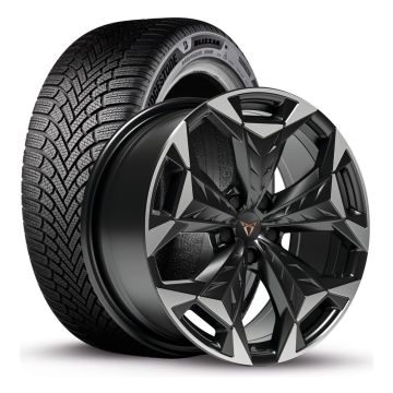 CUPRA Terramar (83H) winterset