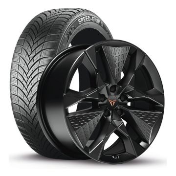 CUPRA Born (10E) winterset - dark shadow