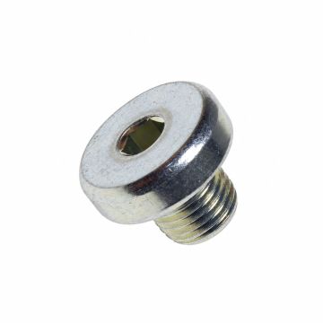 Originele sluitschroef (M10X1)
