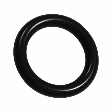 Originele o-ring (10X2,2)
