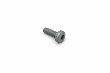 Originele inbus- bout (M10X30)