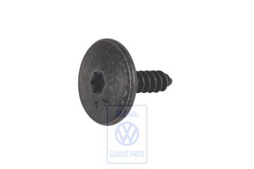 Volkswagen New Beetle (9C) torxlensschroef wielkuip 4,8x16