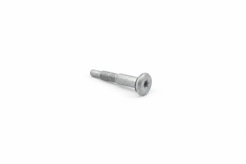 Originele inbuspasbout (M4X25)
