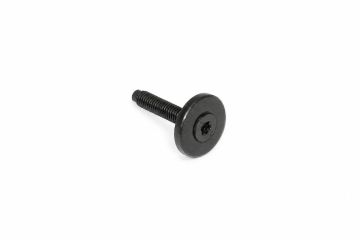 Originele inbus- bout (combi) (M6X35)
