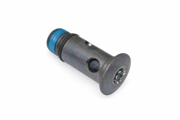 Originele banjobout (M22X1,5)