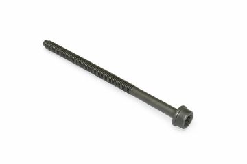 Originele inbusbout met poly-inbuskop (M10X170)