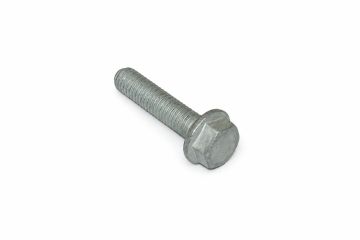 Originele zeskantbout (M8X45)