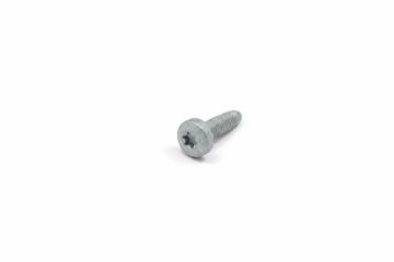 Originele platkopschroef met poly-inbus (M5)