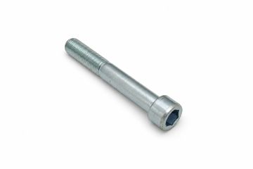 Originele zeskantbout met kraag (M16X110)