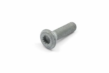 Originele poly-inbusbout (M12X1,25X42)
