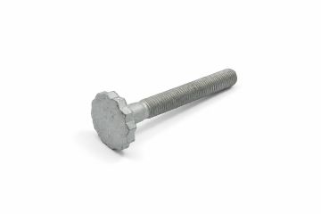 Originele twaalfkantbout (M12X1,5X100)