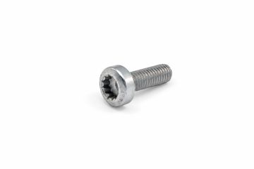 Originele inbusbout met poly-inbuskop (M8X25)