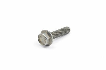 Originele zeskantflensbout (M6X25)
