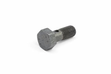 Originele banjobout (M10X1)