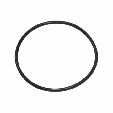 Originele o-ring (69,4X3,1)