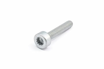 Originele poly-inbusbout (M8X45)