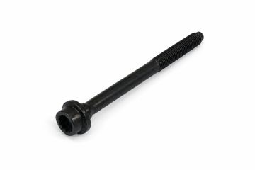 Originele inbusbout met poly-inbuskop (M9X119)