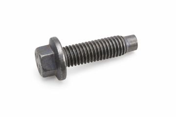 Originele zeskantbout met kraag (M8X25)