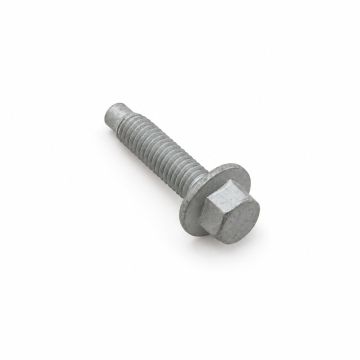 Originele pen (M6X25)