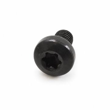Originele inbusbout (M6X10)