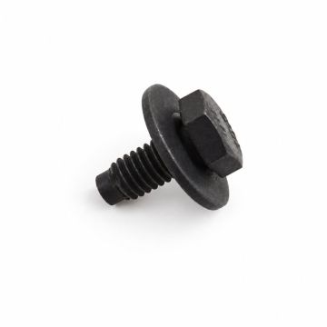 Originele combibout (M6X10)