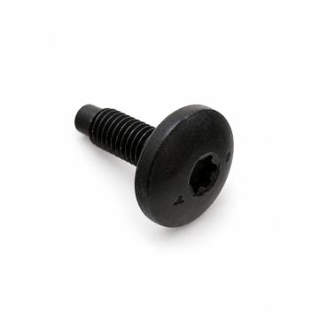 Originele poly-inbusflensbout (M8X20)