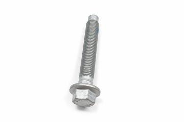 Originele zeskantbout met kraag (M16X95)