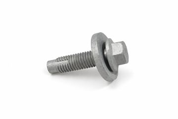 Originele combibout W717281-S439 (M10X25)