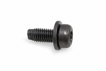 Originele flensbout met inwendige torx (M6X14)