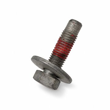 Originele combibout -W717376-S439 (M10X30)