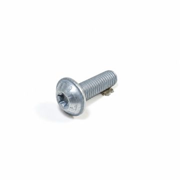 Originele flensbout met inwendige torx (M5X18)