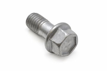 Originele bevestigingspen (M10X1,5)