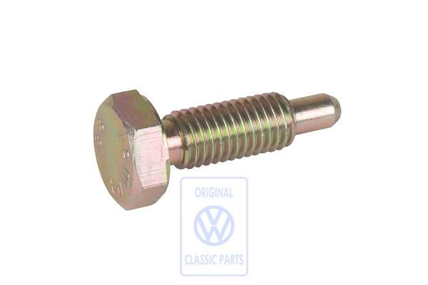 Volkswagen Passat B2 zeskantbout met pen achterashuis M6x32