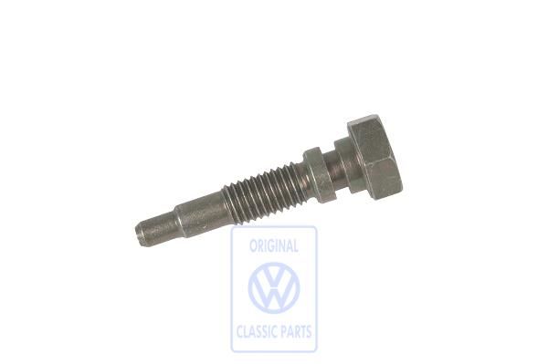 Volkswagen Transporter T4 lagerbout achterste eindaandrijvingshuis M10x50