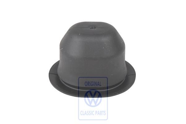 Volkswagen New Beetle (9C) rubbertule deurpaneel