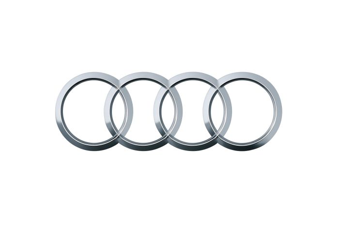 Audi Q8 e-tron (GE), e-tron GT (FW) logo