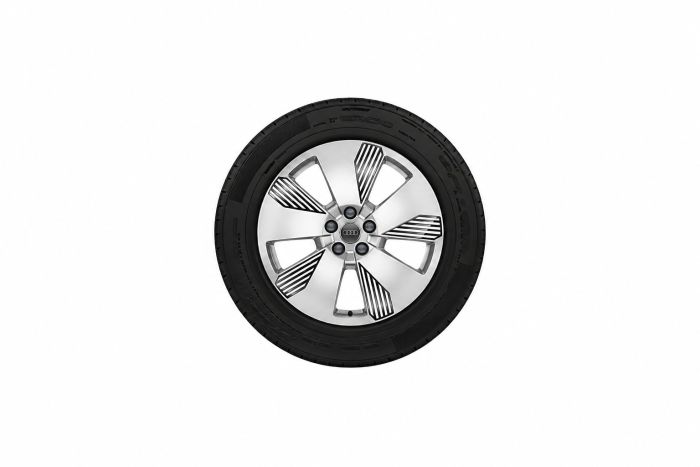 Audi e-tron (GE) velg - zilver