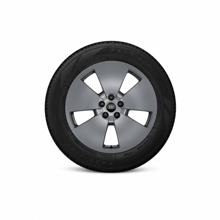 Audi e-tron (GE) velg - grafietgrijs (19 inch)