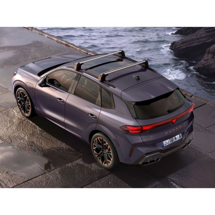 CUPRA Terramar dakdragers