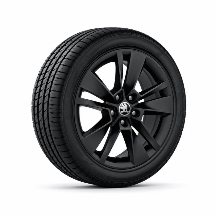 Škoda Karoq (NU) winterset - zwart
