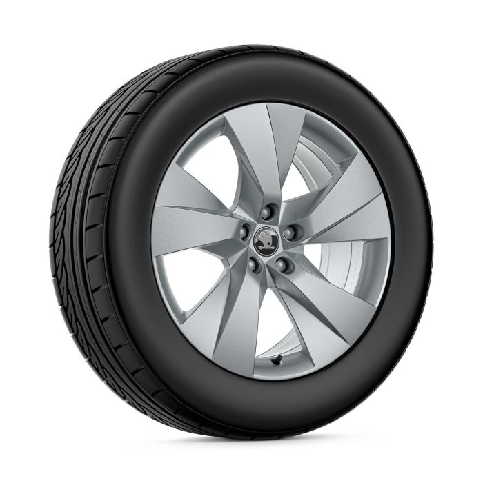 Škoda Elroq (5LG) winterset
