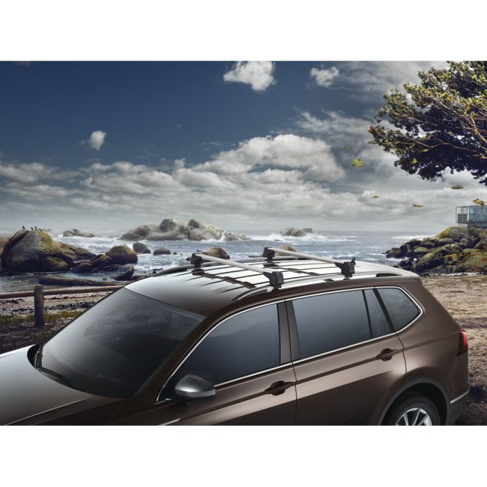 Volkswagen Tiguan 2 (AD1) dakdragers