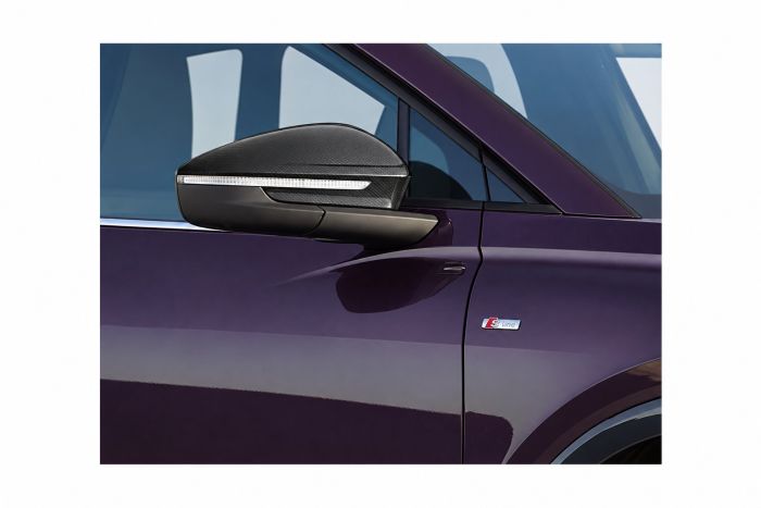 Audi Q4 e-tron (FZ), Q5 (GU), Q6 (85H) spiegelkap - links - carboon