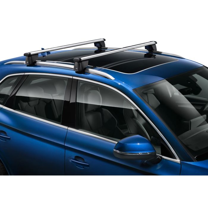 Audi Q4 e-tron (FZ) dakdragers